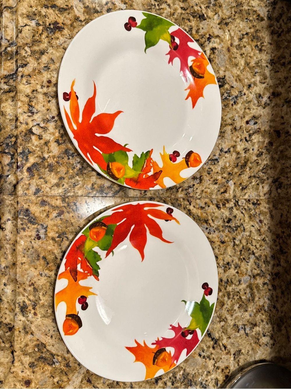 Royal Norfolk Autumn 🍂 Fall Leaf Acorn Ceramic 10.5” Dinner Plates - Set of 2